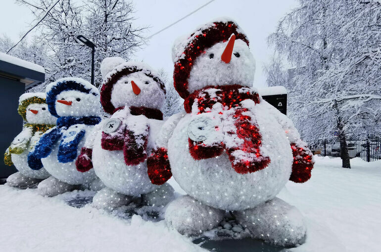   Игорь Самохвалов/«Парламентская газета»