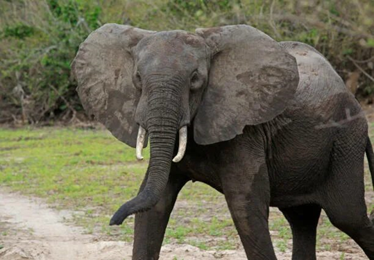 Наши соседи по планете