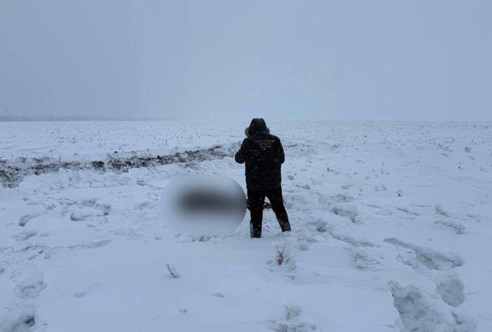 Обложка © Telegram / Следком 64