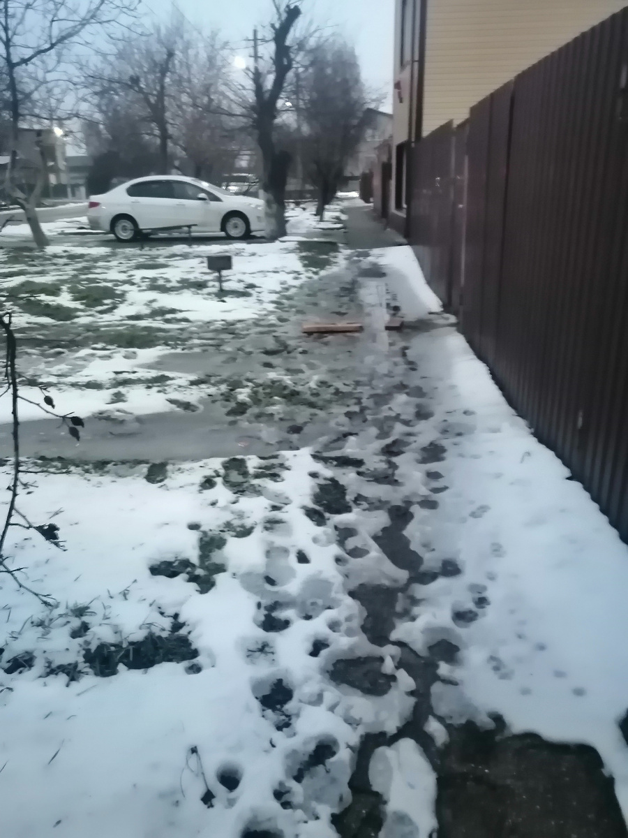 Это около соседского дома.