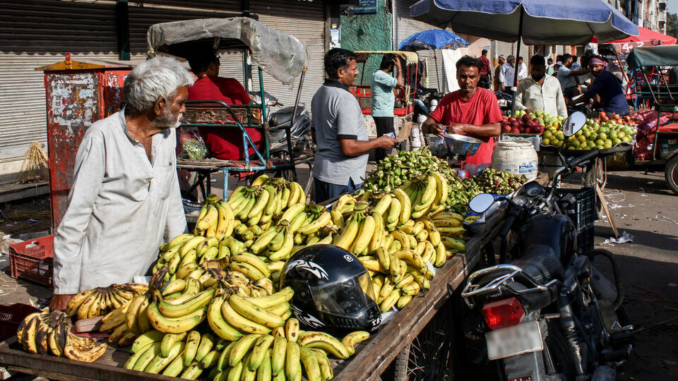    Роспотребнадзор призвал туристов не есть сырые фрукты в странах с вирусом Нипах Михаил Терещенко/ТАСС