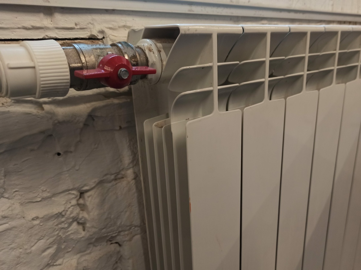 Фото: Neva.Today/Олеся Орехова