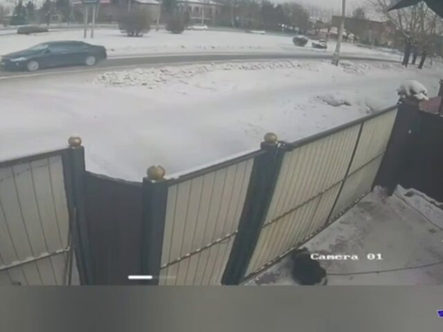    Фото: телеграм-канал "МВД по Республике Тыва"