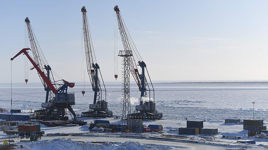    Фото: РИА Новости/Светлана Шевченко