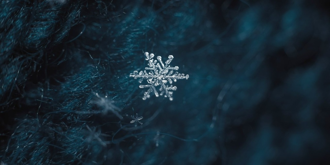 ФОТОГРАФ Анна Белль | Россия