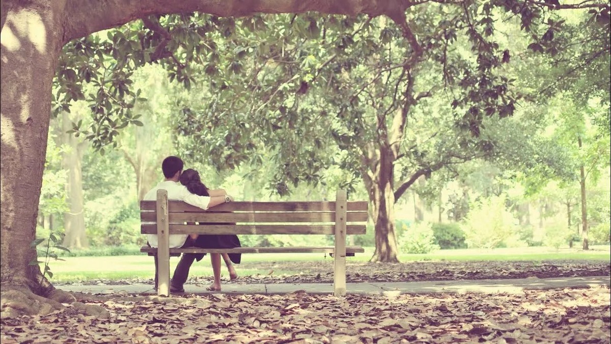 Яндекс. Картинки. 