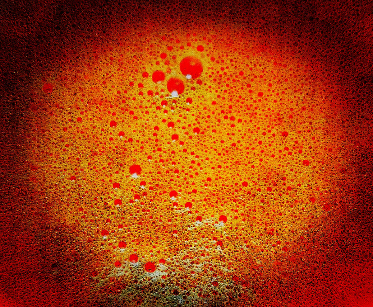 Фото автора. Времени ещё нет!