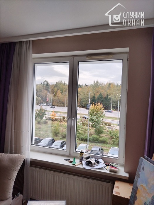 Сырость и плесень в квартире: виноваты ли окна? 