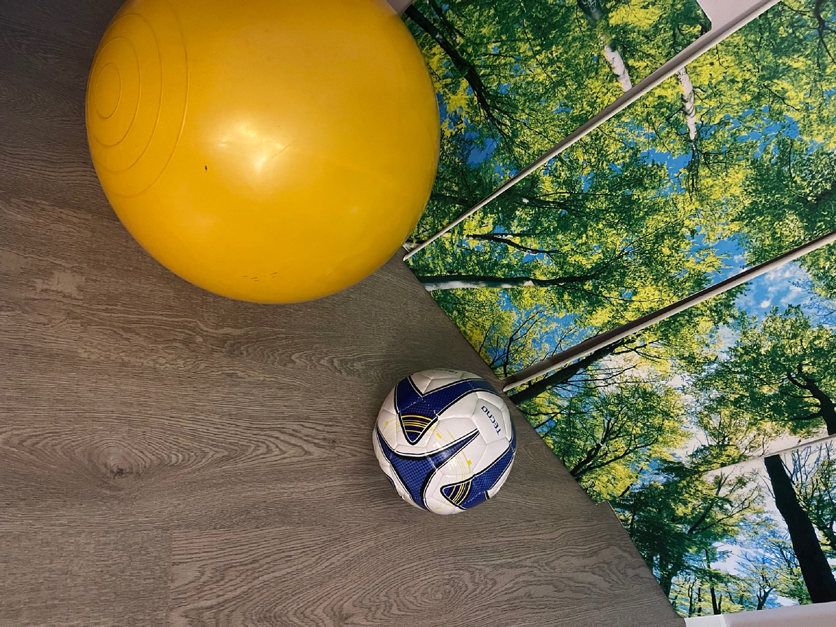 Мои помощники сегодня