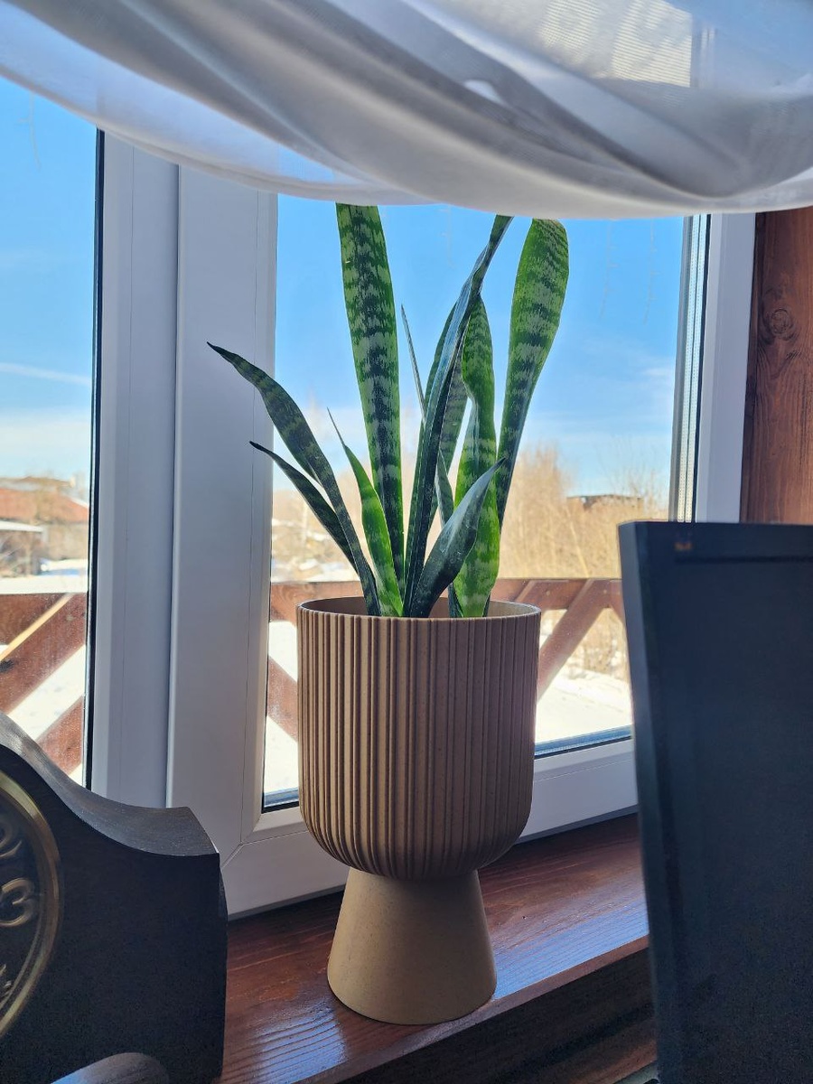 Но и зимой дома - ОТЛИЧНО!!