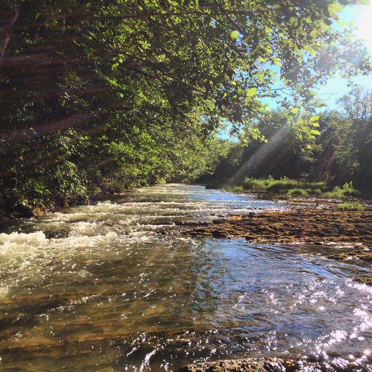 #романтика #любовь #деревня #свадьба 