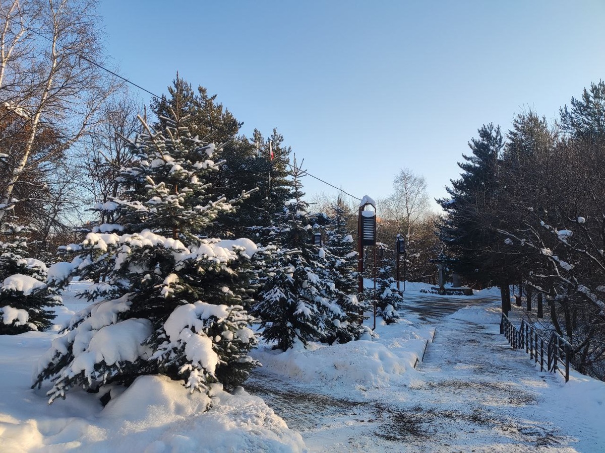    Фактор Новости