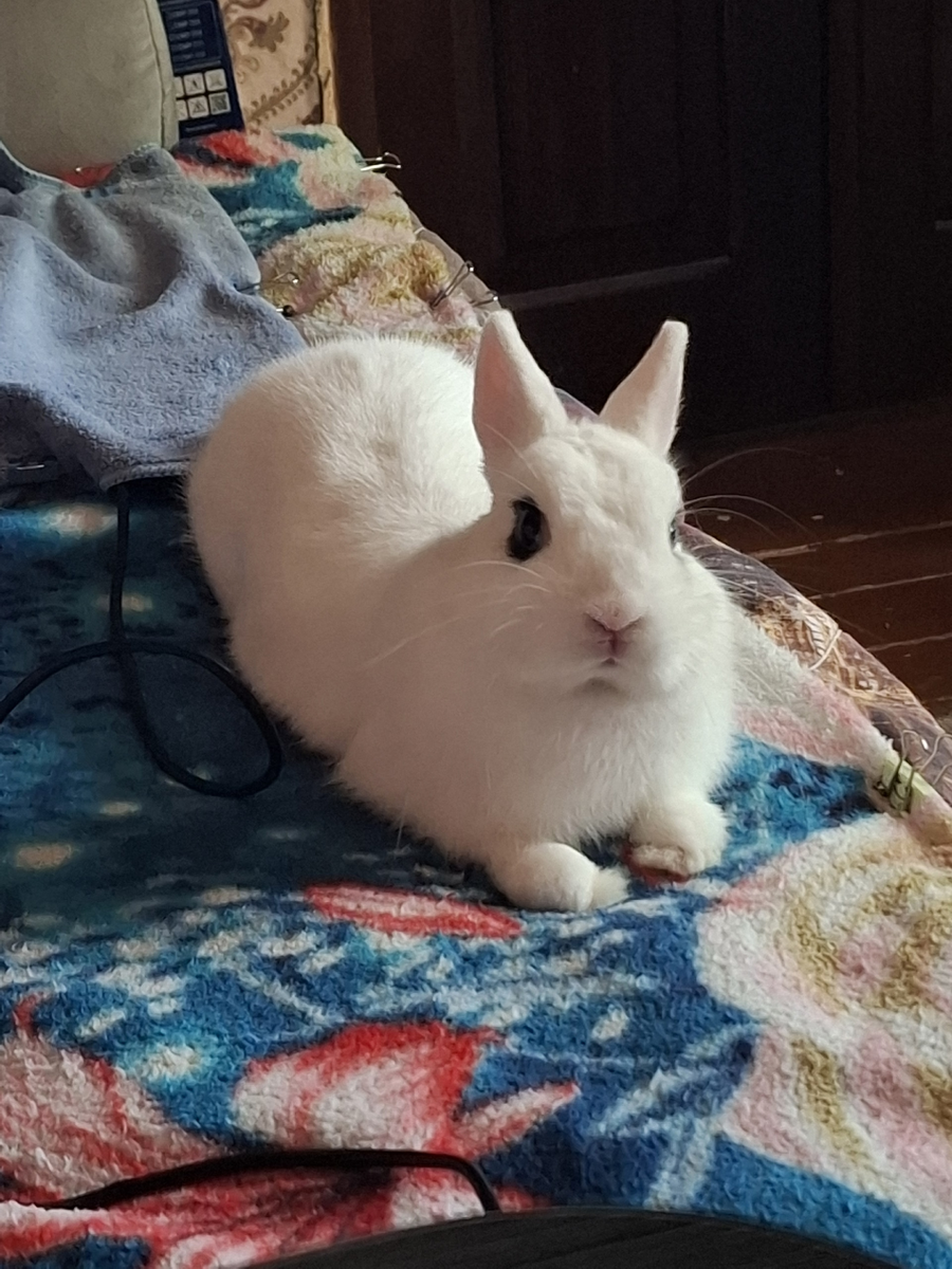 Моти на раслабоне...