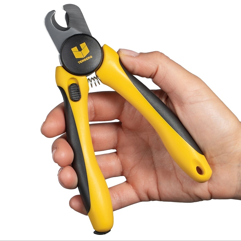 картинка из открытых источников