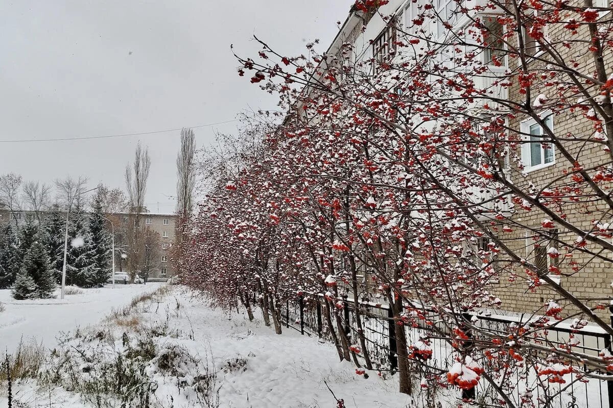 Фото: UfaTime.ru