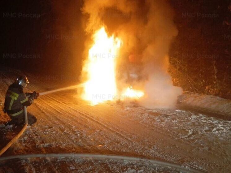     Фото: телеграм-канал ГУ МЧС России по Ленобласти.