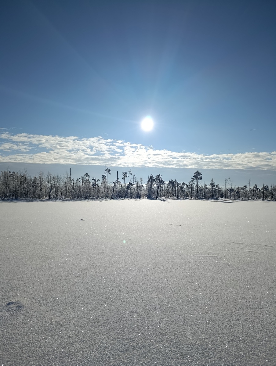 Я болею и в няньках, а друзья рыбачат, присылают фотографии таких красот