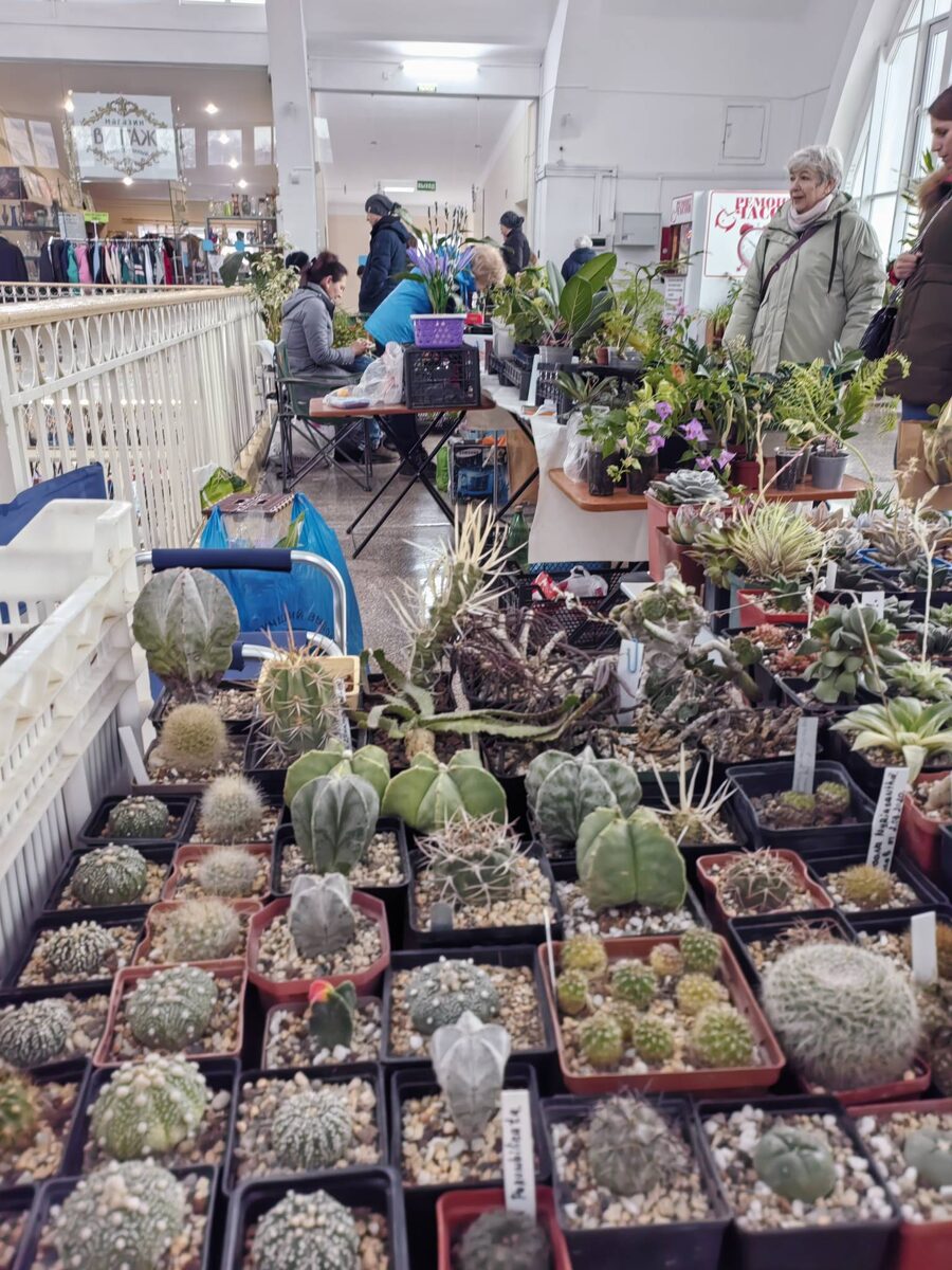 Ярмарка растений в Пассаже. Фото автора