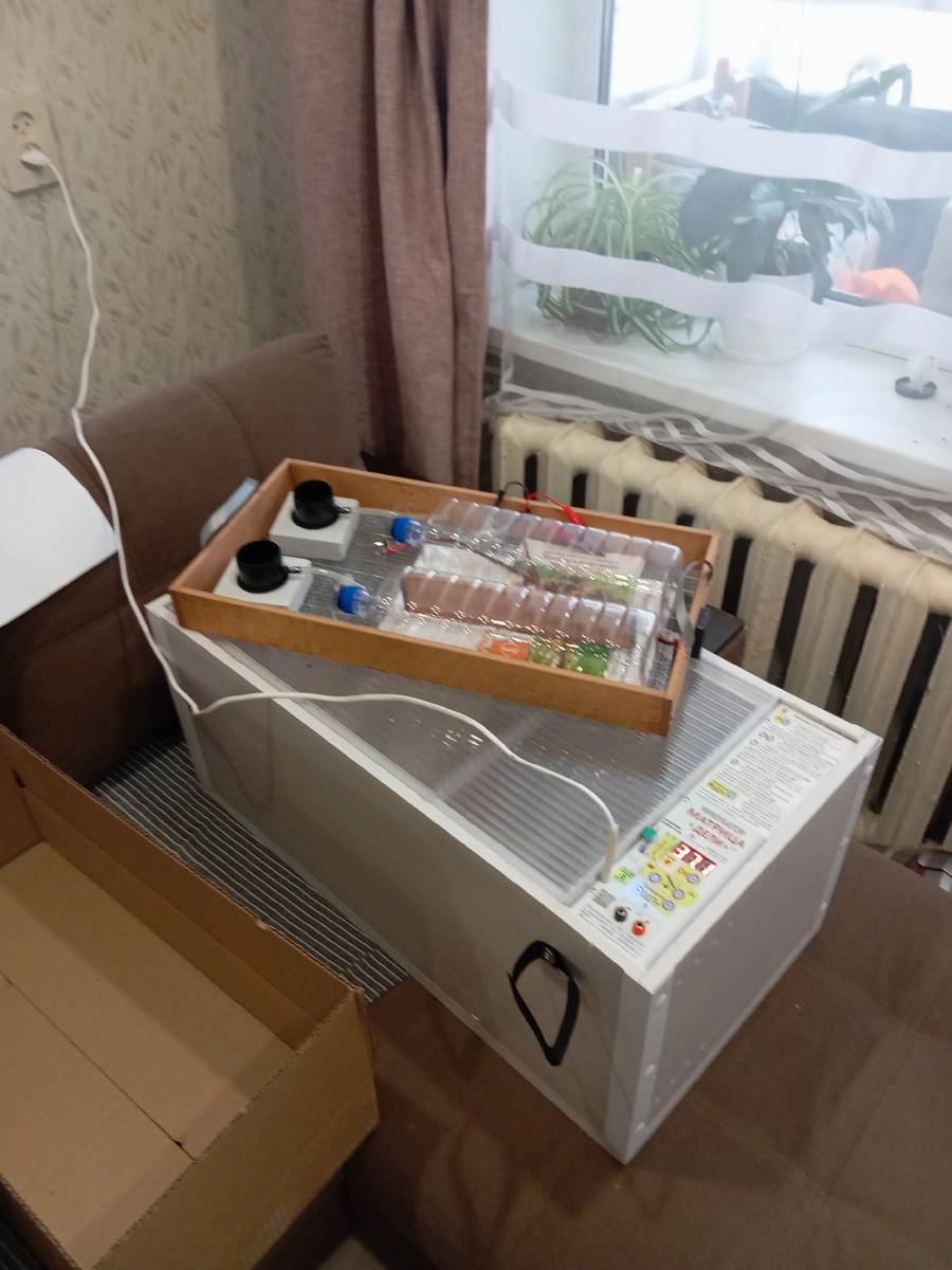 Инкубатор.  Матрица "Дели".