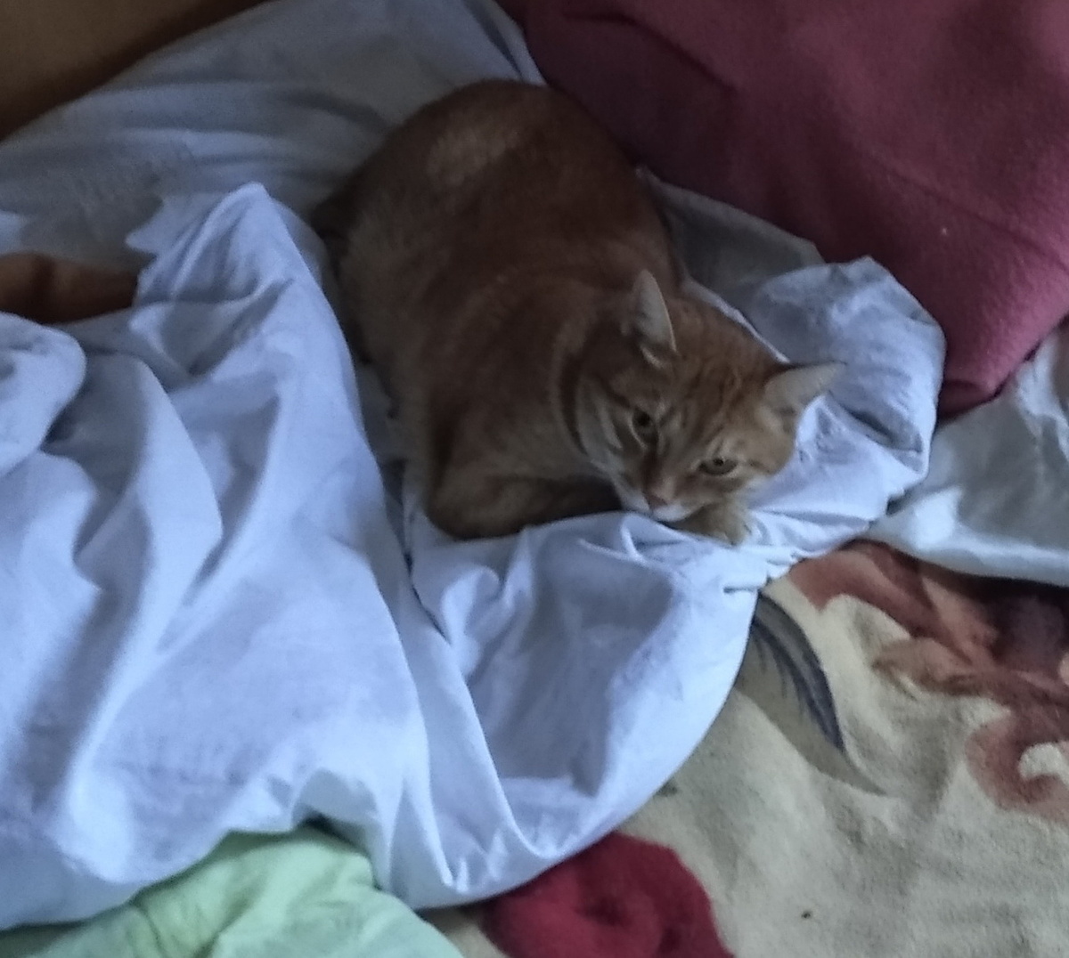 Личное фото