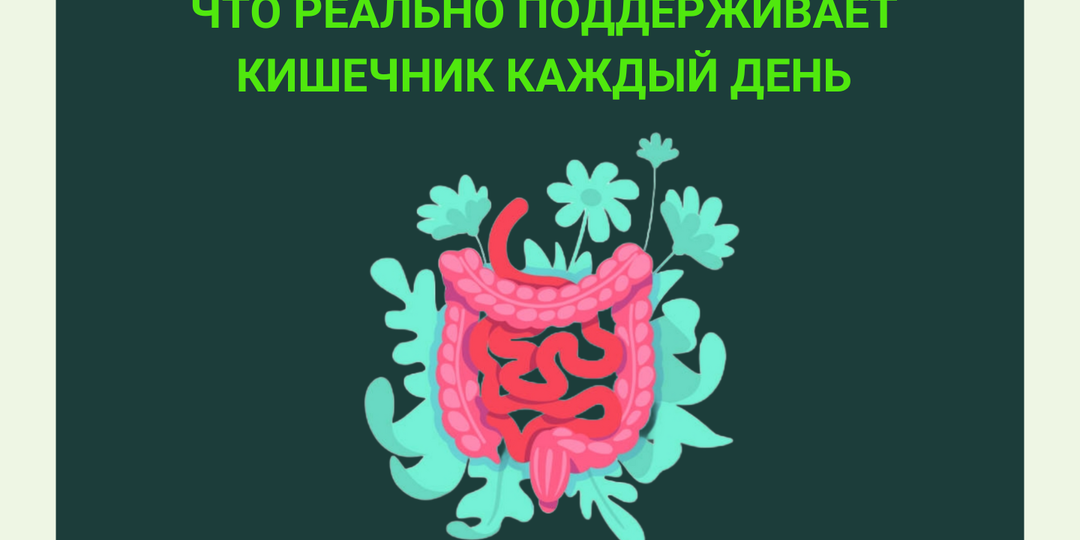 Что реально поддерживает кишечник каждый день