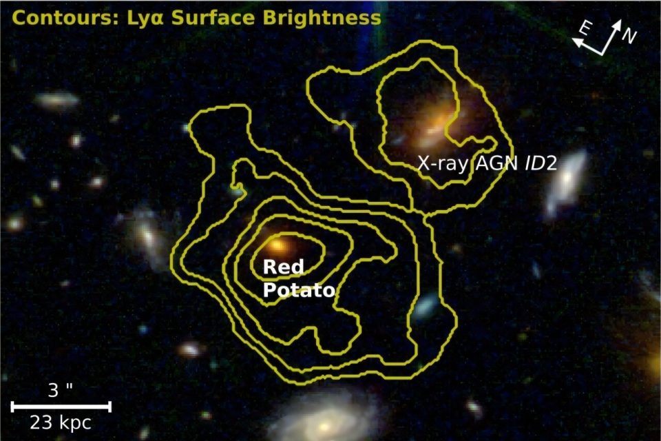 Галактика MQN01 J004131.9-493704 «Красный картофель» на расстоянии z=3,25 и окружающий ее холодный газовый резервуар, излучающий Lyα. Источник: arXiv (2026). DOI: 10.48550/arxiv.2601.20473