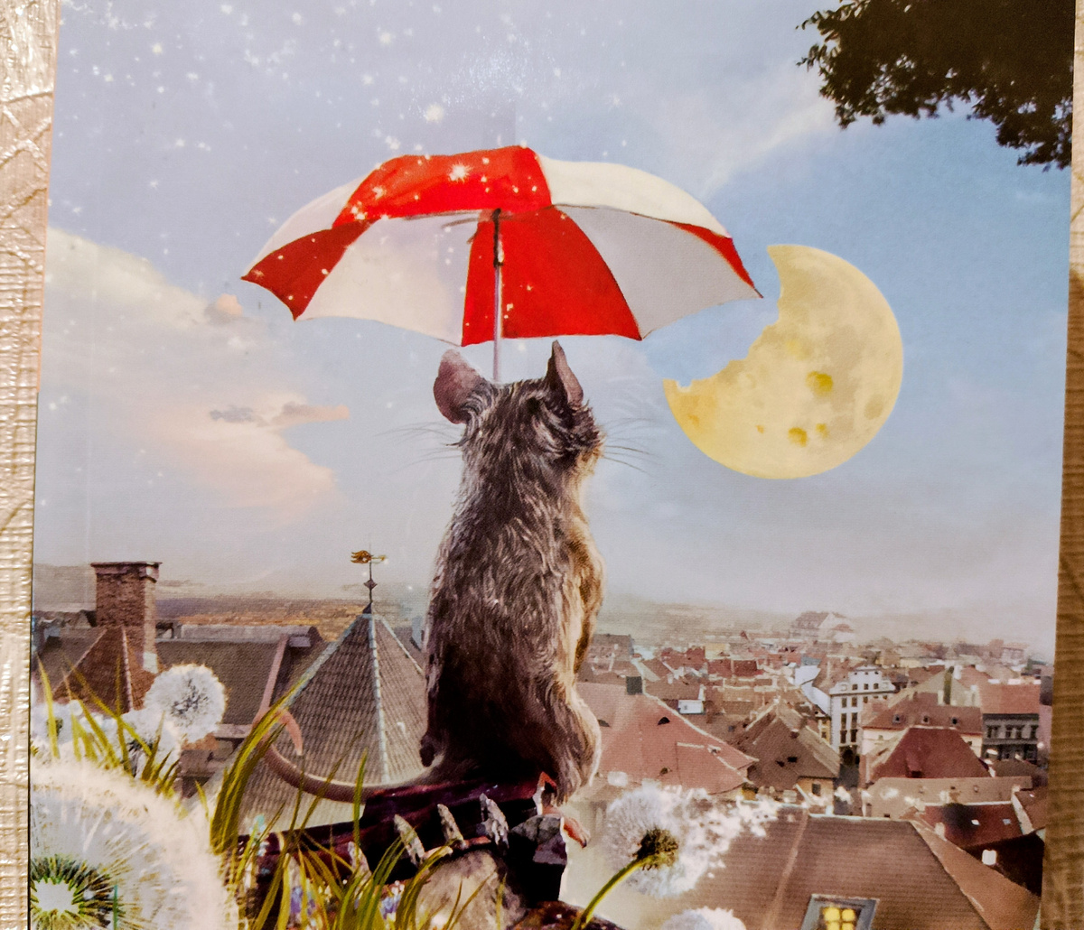 Фото автора. Кто вспомнит название книги и чем там всё закончилось? 