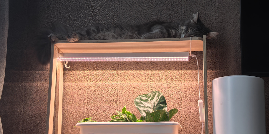 Кастрация кота, запасы капусты, чернила на диване и ночёвка гостя сына. Дневниковое