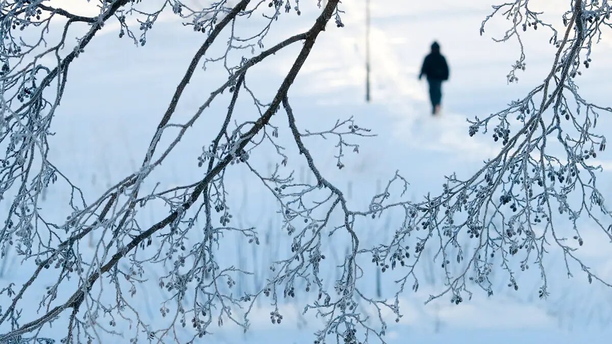    Фото: vm.ru Евгений Иванов