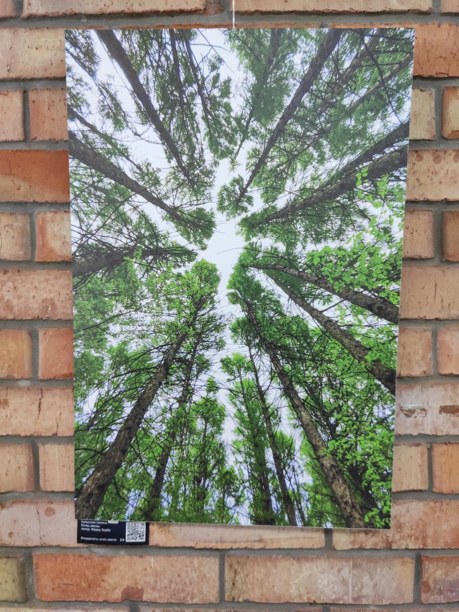 Вертикаль света