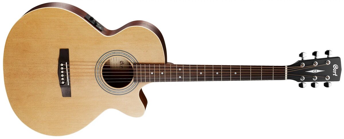 Самая обычная гитара