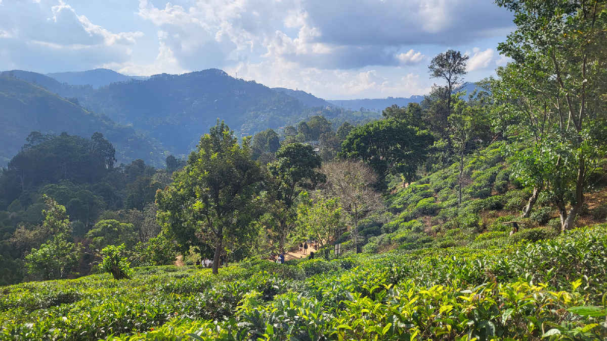 Источник: фотобанк проекта «Трипы».