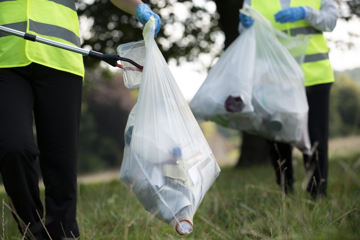    Фото: freepik.com/freepik