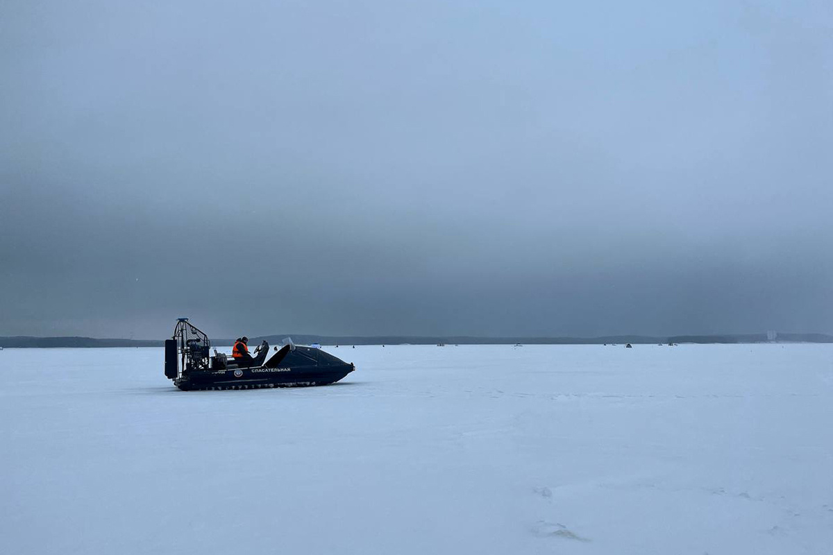    Фото: ОСВОД Беларуси / Telegram