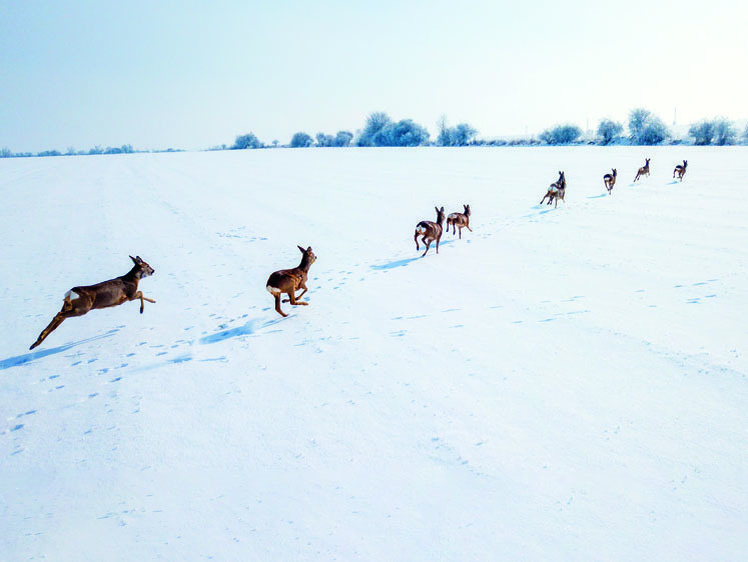 фото из интернета