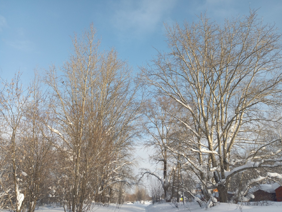 Фото сделано сыном.