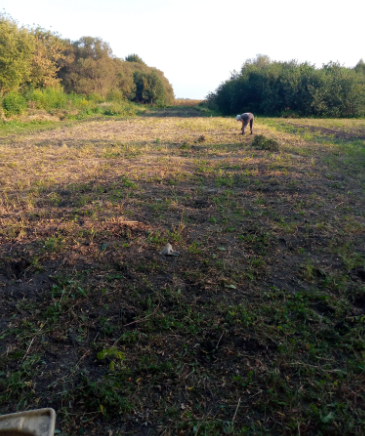 огород и сад