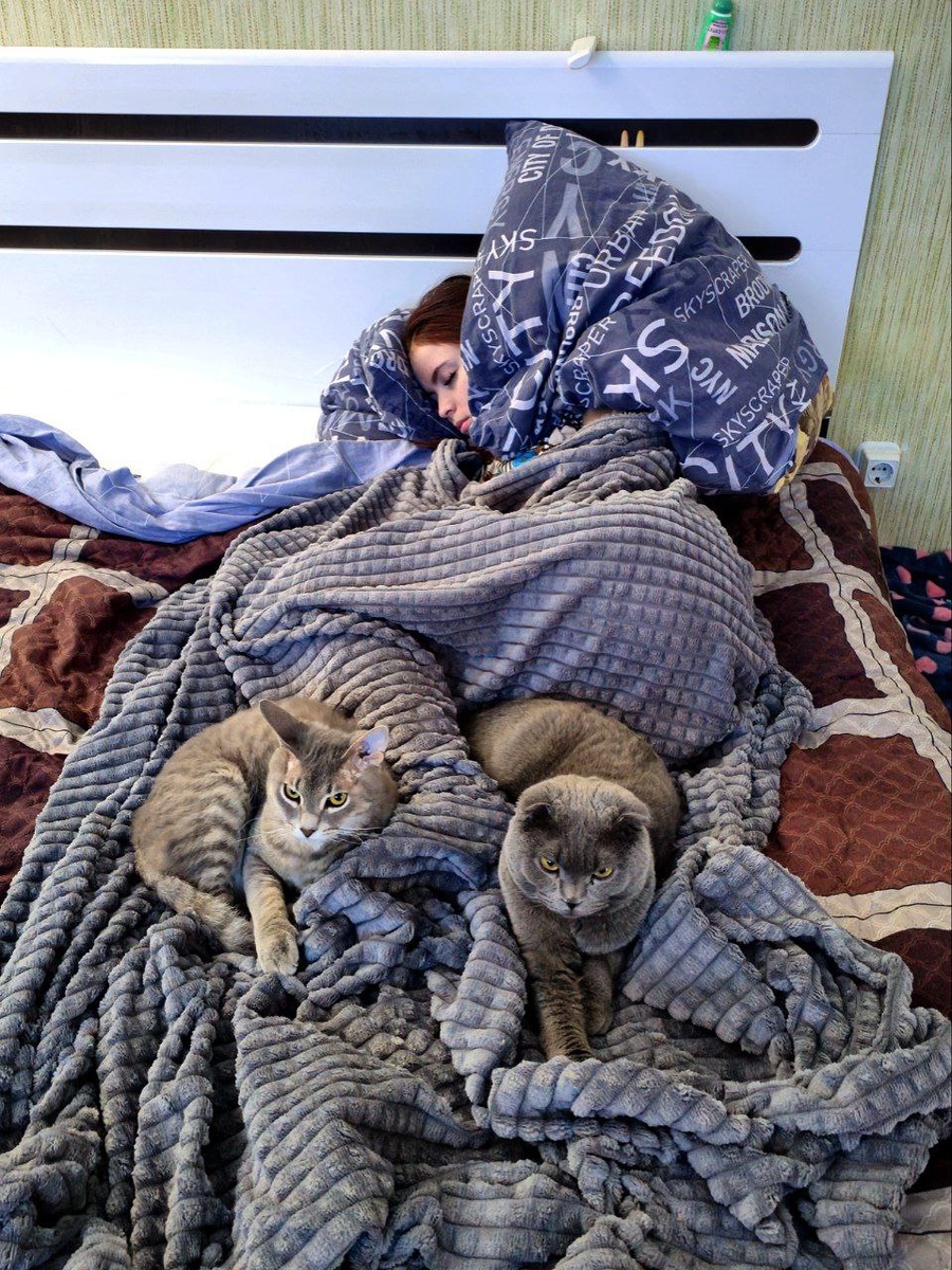 Грей и Локи сторожат мой сон