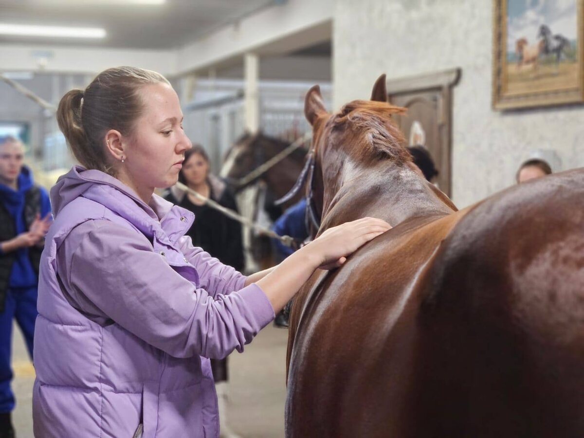 Фото из практики ветеринарной команды Гиппус Вет (телеграм hippusvet).