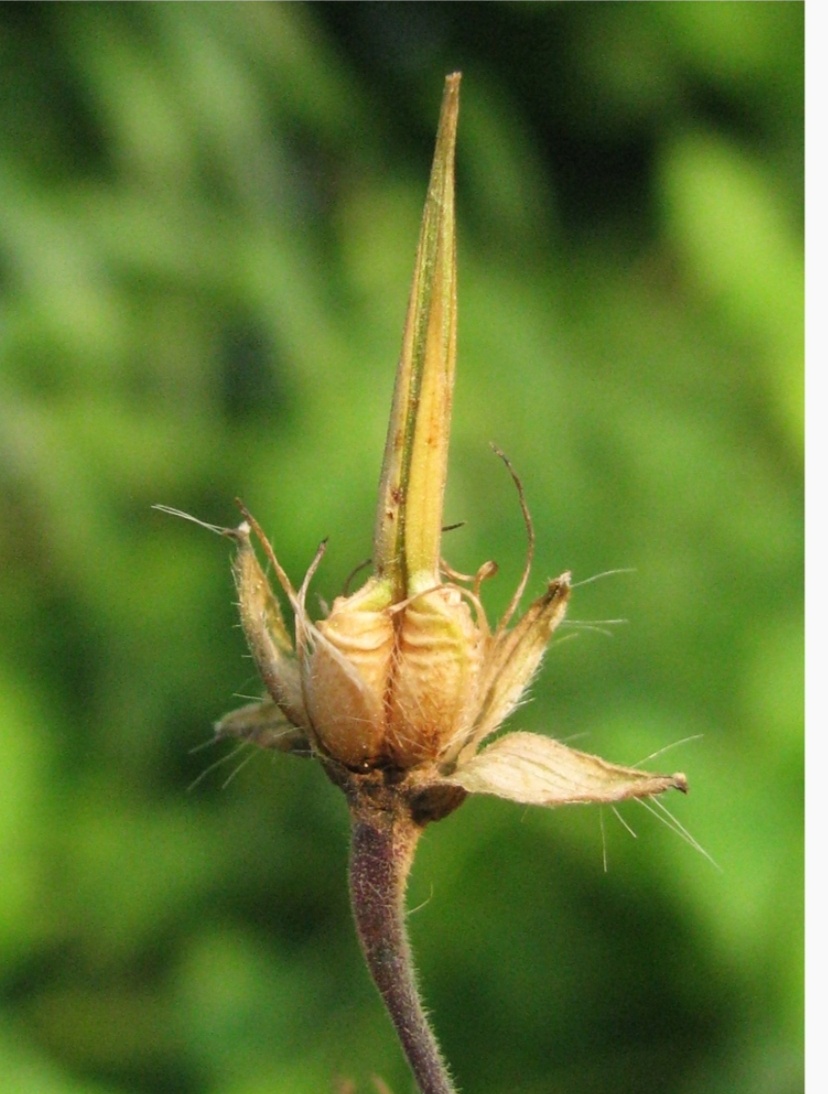 Фото из интернета.