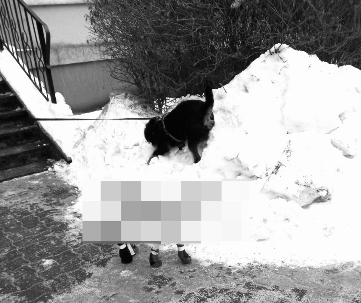 Загадка. Фото автора