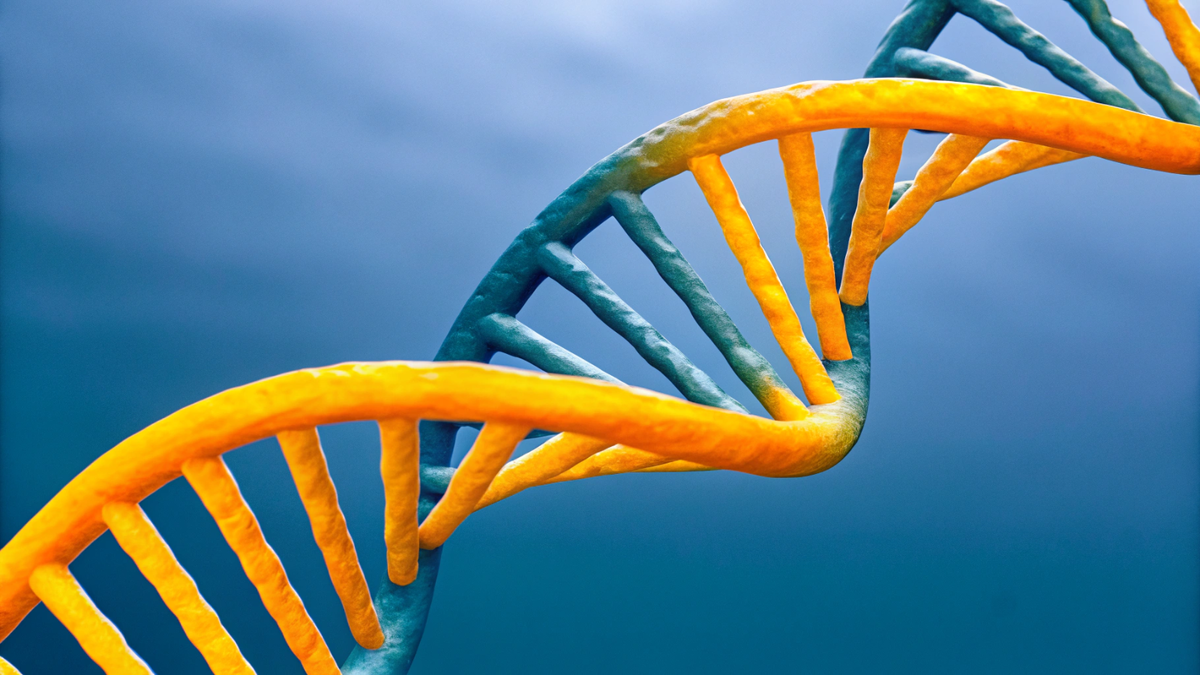    Чтение — относительно молодой навык, возникший всего несколько тысяч лет назад