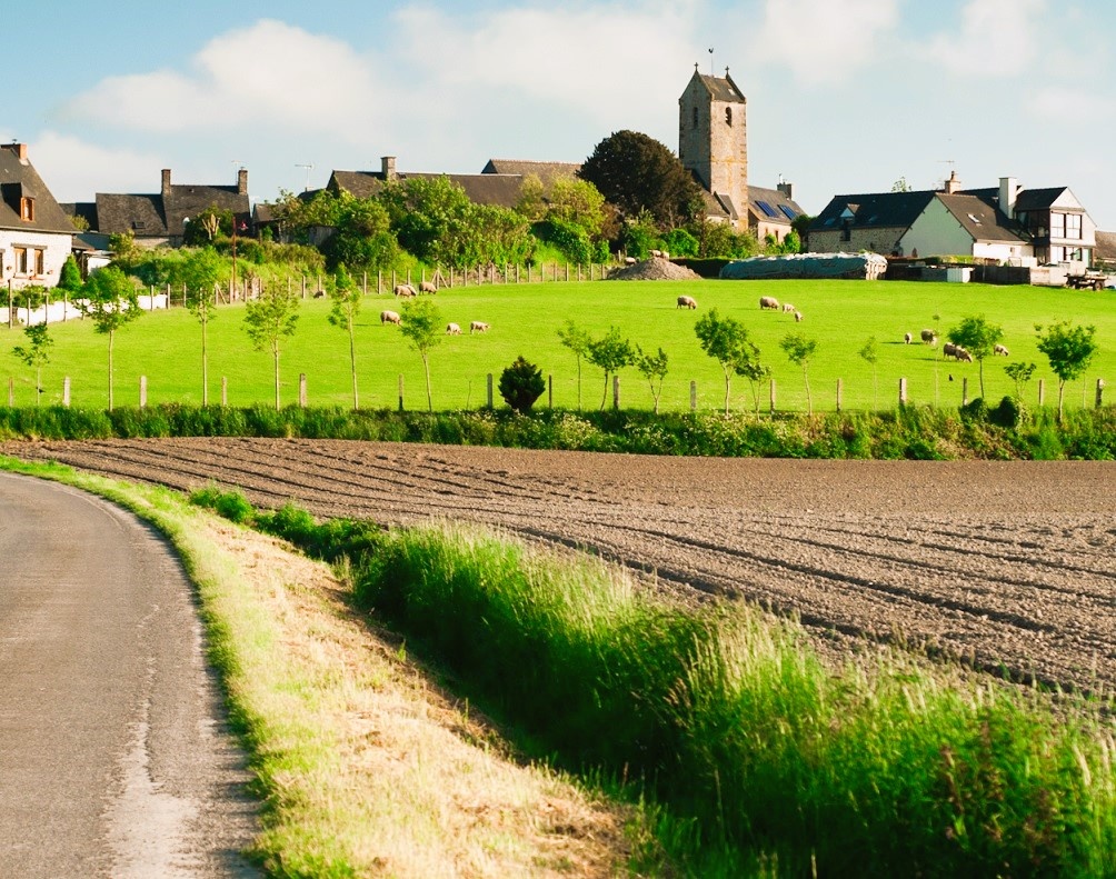 Вульгарная латынь: от разговорной речи Рима к основам романских языков
