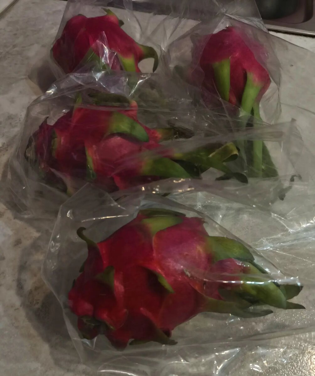 Питтахайя - как выбрать, сколько стоит