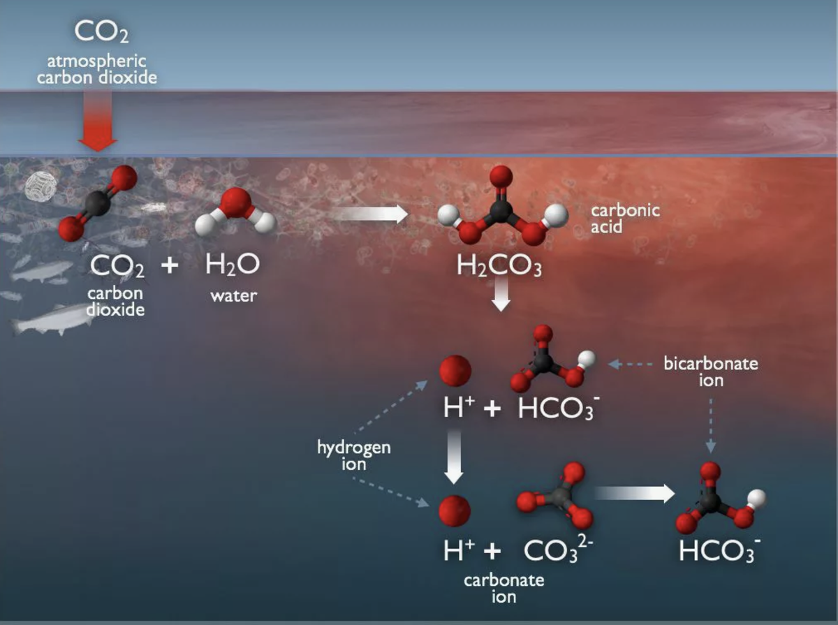 Репрезентативная картинка