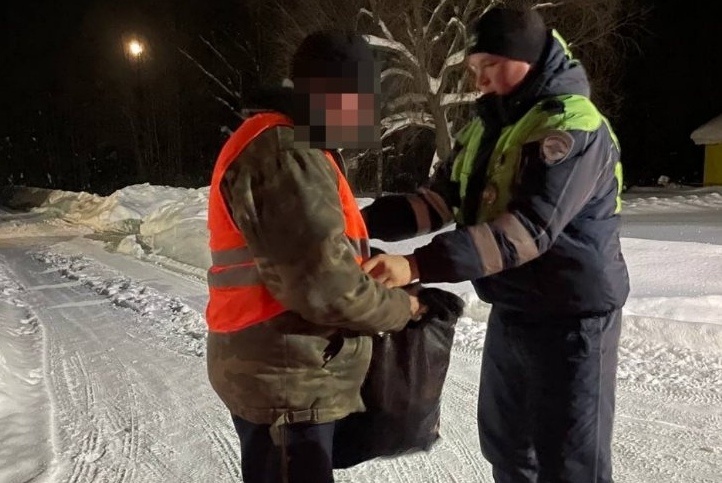 Фото: ГИБДД Чувашии