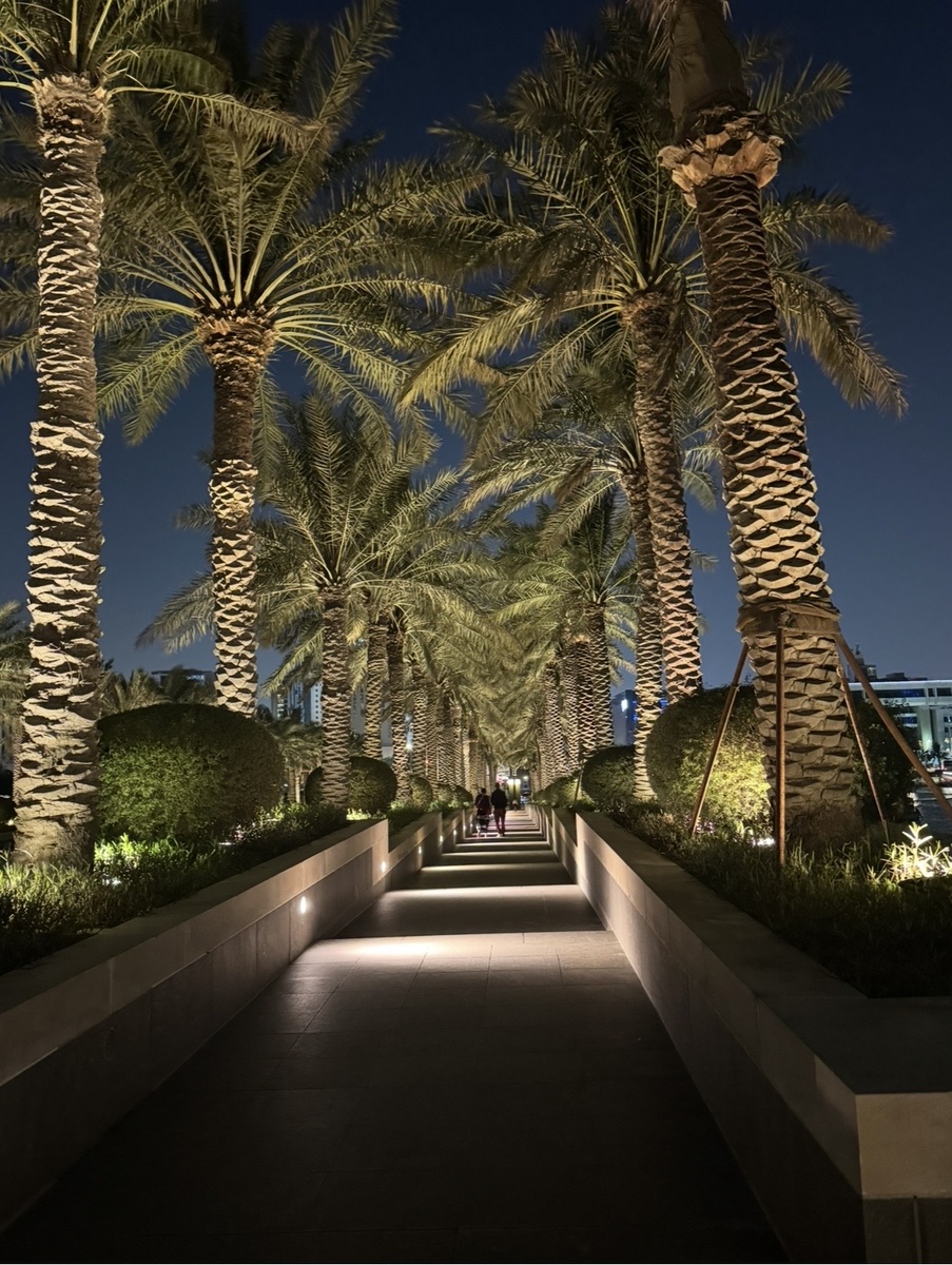 И ведет к нему такая роскошная аллея