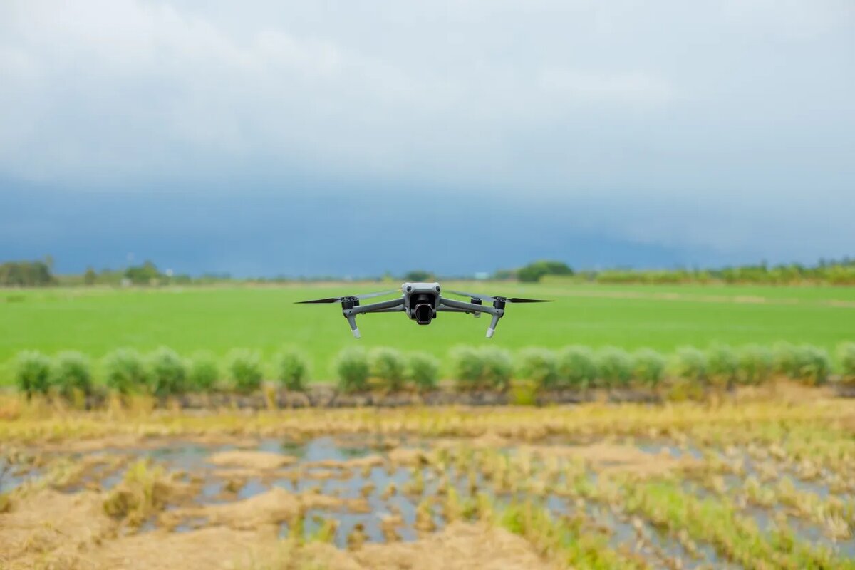    Источник изображения: ItRussia.Media