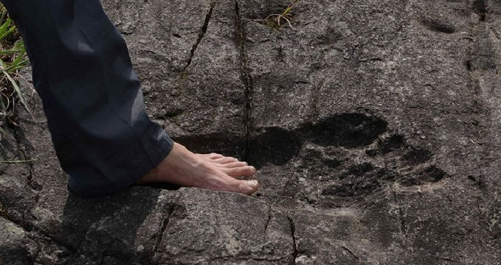 След гигантопитека. (Фото: tall-white-aliens.com).