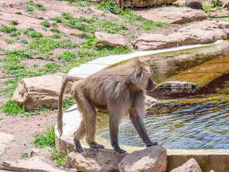     Tara Malhotra / Keystone Press Agency / Global Look Press